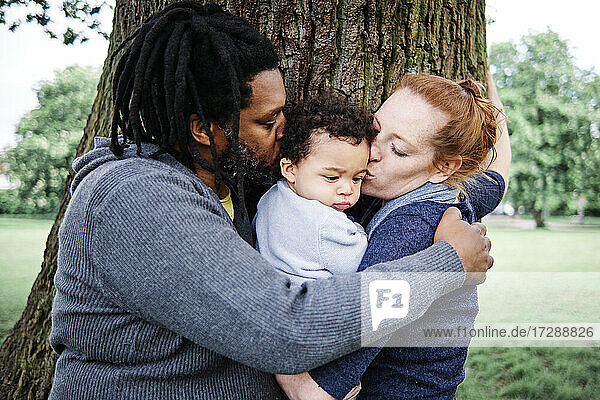 Vater und Mutter küssen ihren Sohn und umarmen sich in der Nähe eines Baumstamms im Park