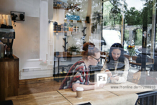 Freundinnen teilen sich ein Smartphone im Café
