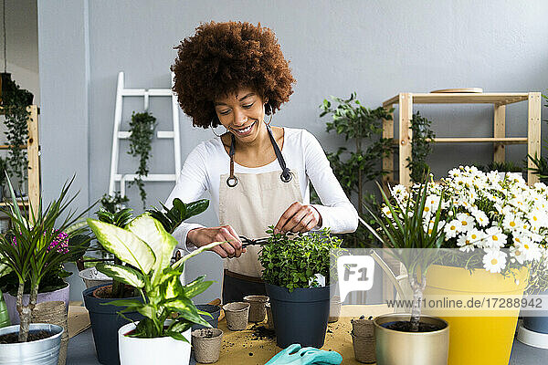 Smiling female florist pruning potted plant at shop