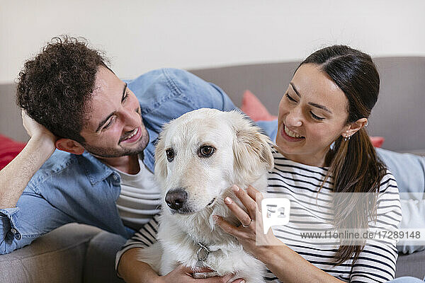 Smiling couple stroking dog in living room at home