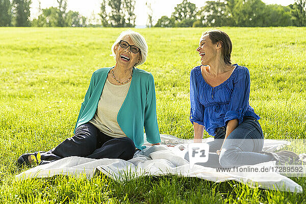 Lächelnde ältere Frau mit halbwüchsiger Frau  die auf einer Picknickdecke im öffentlichen Park sitzt