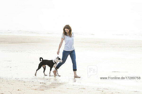 Woman with Jack Russell Terrier walking at beach