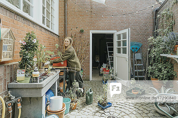 Smiling woman carrying plant while working at backyard
