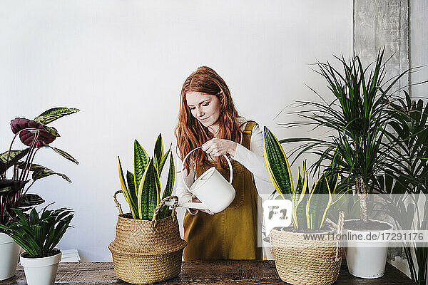 Redhead woman pouring water in potted plant at home