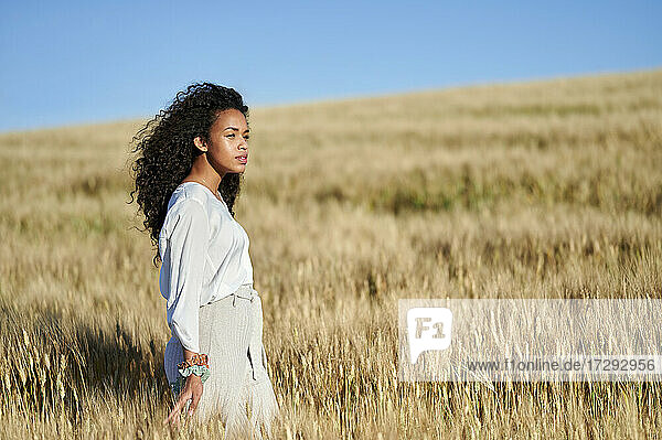 Curly haired woman looking away while walking in wheat field
