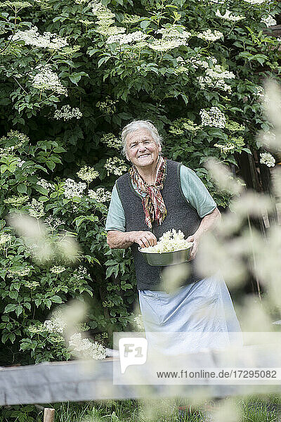 Lächelnde ältere Frau mit Holunderblüten im Vorgarten