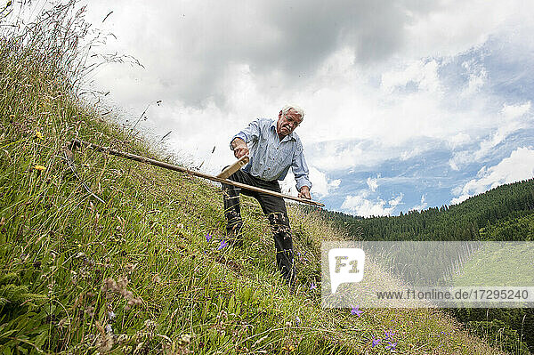 Älterer Landwirt beim Schneiden von Pflanzen mit der Sense auf einem Hügel im Bundesland Salzburg  Österreich