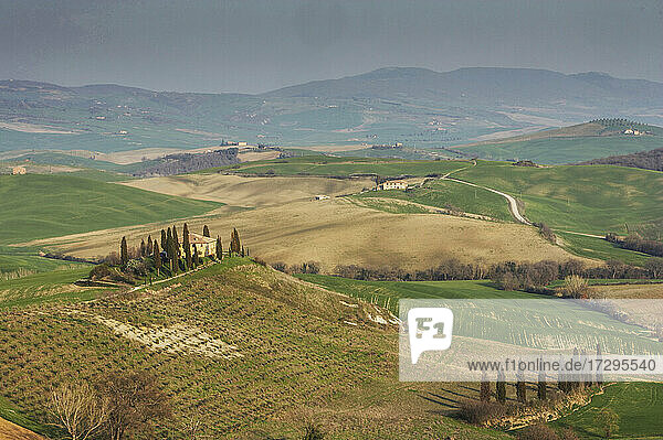 Italien  Toskana  Val D'Orcia  Pienza  Luftaufnahme von Hügeln und Feldern mit Zypressen