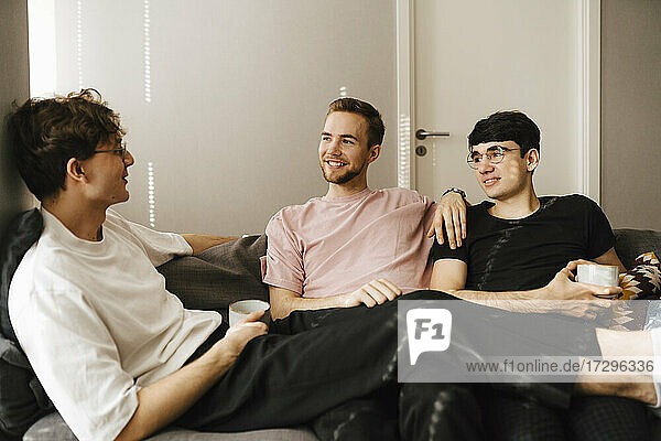 Smiling male friends talking with each other while sitting in living room
