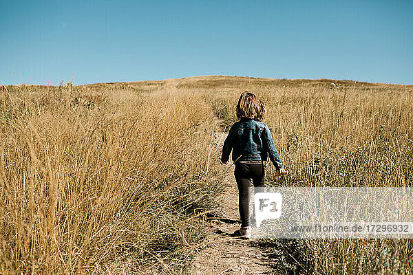 Young girl walking on a path in a field of tall grass in the fall