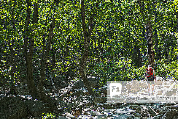 Frau beim Wandern in Richtung Ulsanbawi im Seoraksan-Nationalpark