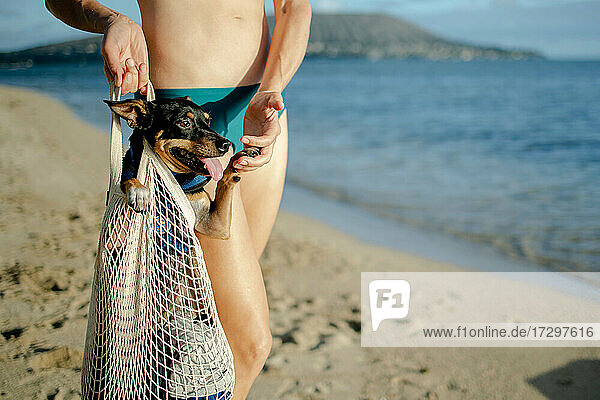 Frau hält Hund in wiederverwendbarer Tragetasche am Strand von Hawai'i