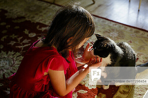 Ein kleines Mädchen in einem Lichtfleck kniet nieder und streichelt zärtlich ihre Katze