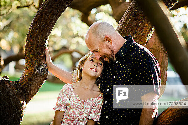 Vater und Tochter kuscheln im Baum in San Diego