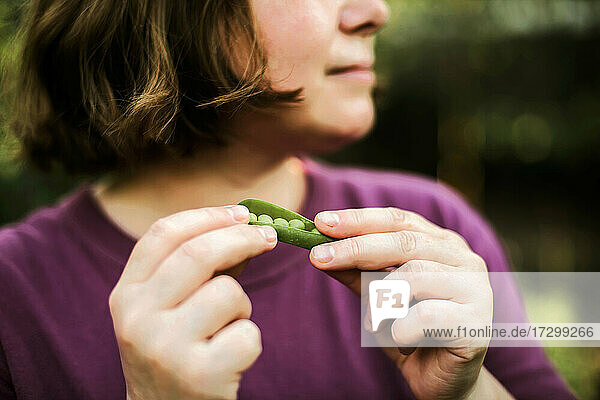 Frau isst Bio-Erbsen aus dem Hinterhofgarten