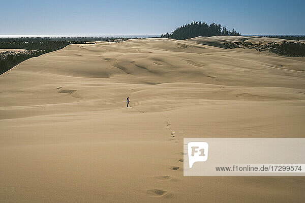 Female Standing In The Blowing Sand Dunes