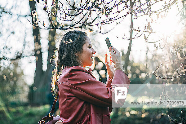 Girl takes pictures on the phone of a flowering bush in the park