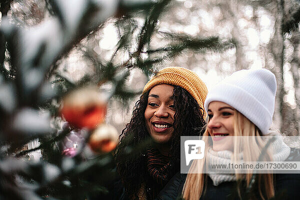 Glückliche Freundinnen beim Schmücken des Weihnachtsbaums im Freien