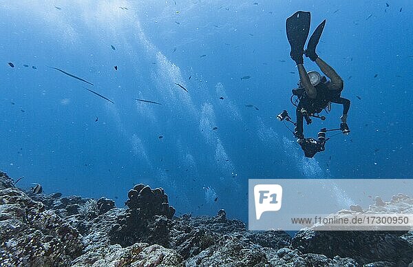 Taucher mit UW-Kamera beim Abtauchen ins Blaue bei den Similan Inseln