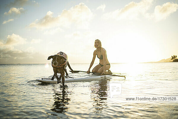 Frau und Hund haben Spaß auf einem Paddleboard in Honolulu