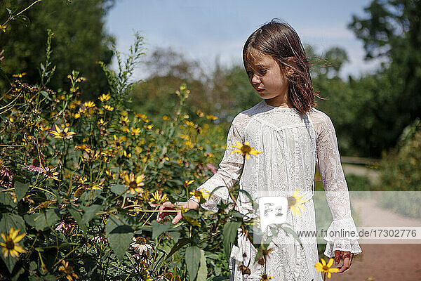 Ein kleines Mädchen mit ernster Miene untersucht draußen Wildblumen