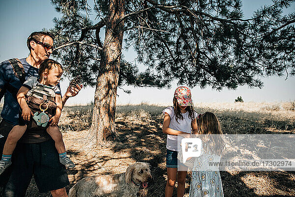 Family collecting pine cones on a hike nature walk with their dog