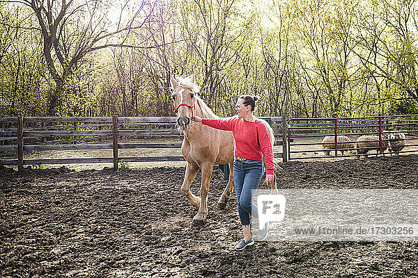 Frau in rotem Sweatshirt führt ein Palomino-Pferd durch einen Bauernhof.
