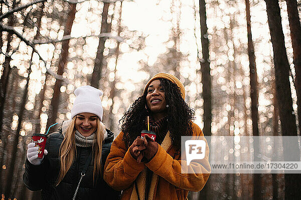 Glückliche Freundinnen  die im Winter unter Bäumen im Park spazieren gehen