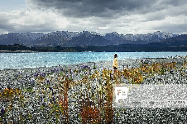 Guy at a beach at Lake Tekapo  Canterbury region  Mackenzie District  South Island  New Zealand  Oceania