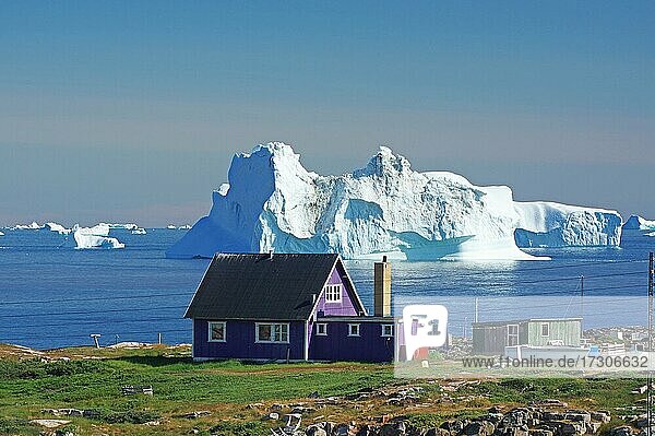 Lila Holzhaus vor riesigen Eisbergen  Qeqertarsuaq  Diskoinsel  Diskobucht  Grönland  Dänemark  Nordamerika