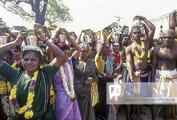 Weibliche Gläubige tragen ein Gefäß mit einem Milchtopf zum Palani-Tempel am Thai Poosam-Tag  Tamil Nadu  Indien  Asien