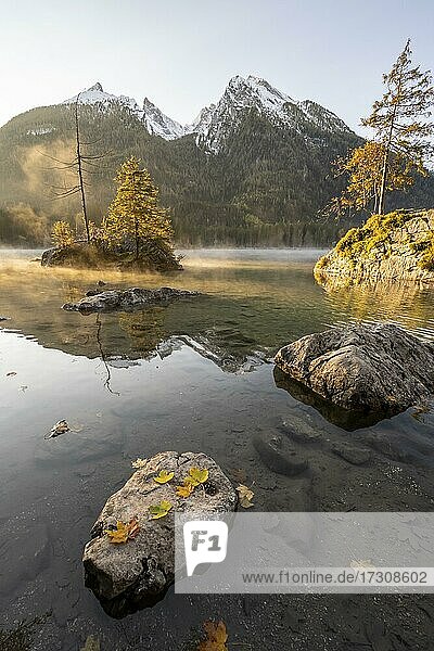 Sunrise at Hintersee with fog  Hochkalter in the back  Berchtesgaden National Park  Ramsau  Upper Bavaria  Bavaria  Germany  Europe