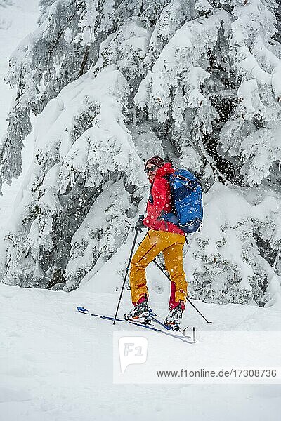 Junge Frau auf Skitour bei Schneefall  Skitourengeher  Skitour zur Brecherspitze  Mangfallgebirge  Bayerische Voralpen  Oberbayern  Bayern  Deutschland  Europa