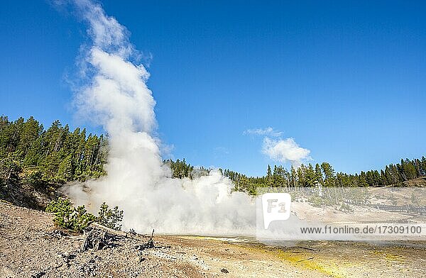 Steaming hot spring  Black Dragon's Caldron  Yellowstone National Park  Wyoming  USA  North America