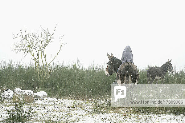 Girl riding donkey in snowy field