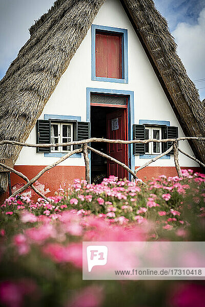 Traditionelles reetgedecktes Haus in den blühenden Wiesen  Santana  Insel Madeira  Portugal  Atlantik  Europa