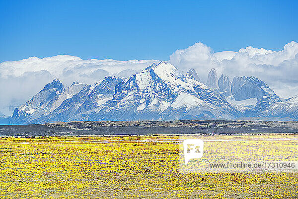 Blick auf die Gebirgskette der Horns of Paine (Cuernos del Paine)  Torres del Paine National Park  Patagonien  Chile  Südamerika