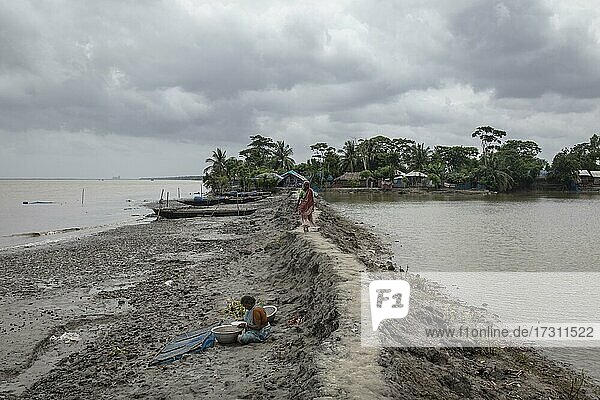 Woman walking on a muddy embankment  Banishanta Peninsula  Mongla  Sundarbans  Bangladesh  Asia
