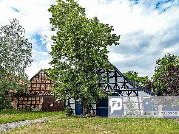Half-timbered house in the Rundlingsdorf Gühlitz. The village is one of the 19 Rundling villages that have applied to become a UNESCO World Heritage Site. Gühlitz  Lüchow-Dannenberg County  Wendland  Lower Saxony  Germany  Europe