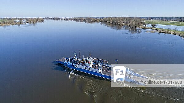 Aerial view  Elbe ferry  Bleckede  Lower Saxony  Germany  Europe