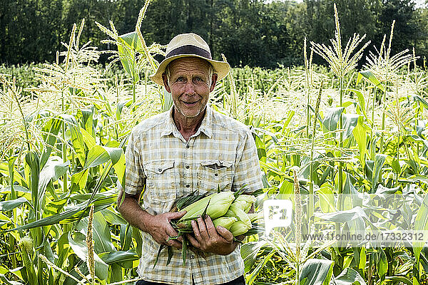 Ein Bauer steht auf einem Feld und hält frisch geernteten Zuckermais in der Hand.