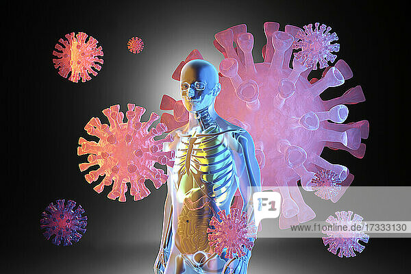 Dreidimensionales Rendering von riesigen Viruszellen  die um ein menschliches anatomisches Modell mit transparenter Haut schwimmen