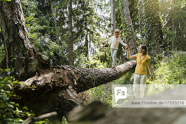 Mother helping daughter walking on fallen tree in forest