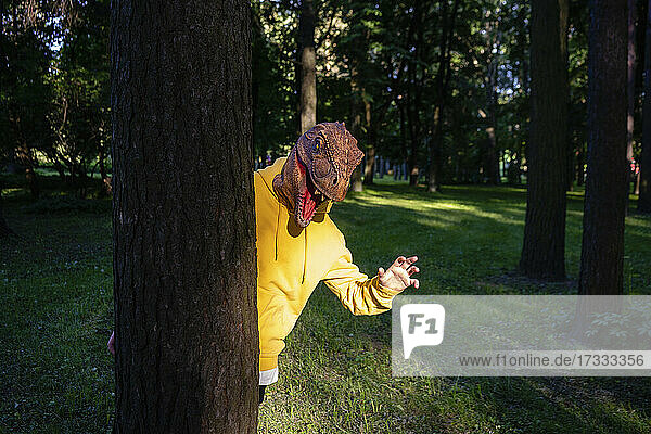 Junge mit Dinosauriermaske erschrickt hinter einem Baumstamm