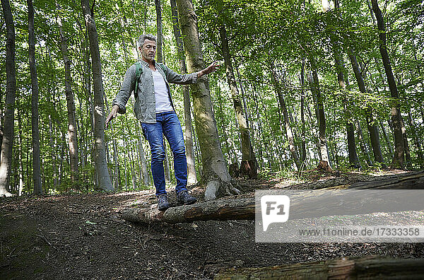 Mann balanciert beim Gehen auf einem Baumstamm im Wald