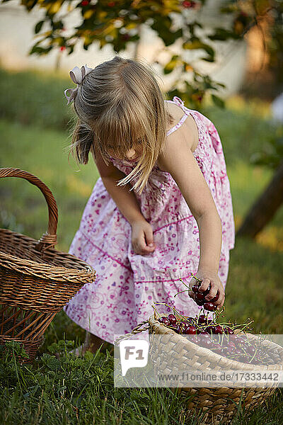 Mädchen hält Kirschen im Korb im Hinterhof