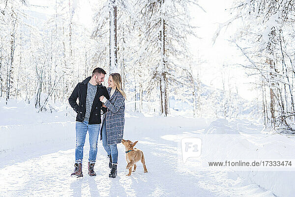 Romantic couple walking on snow with dog during vacation