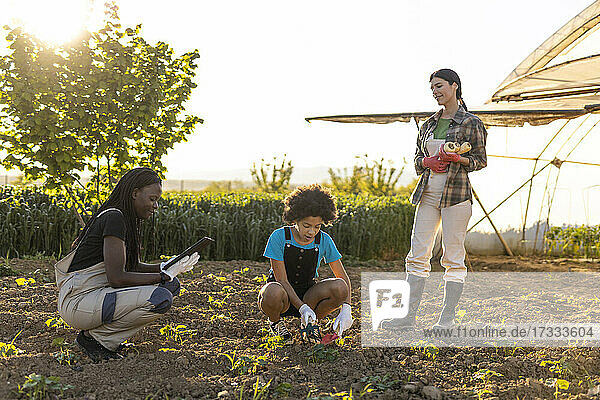 Mädchen pflanzt mit Mutter und Bäuerin auf dem Biohof