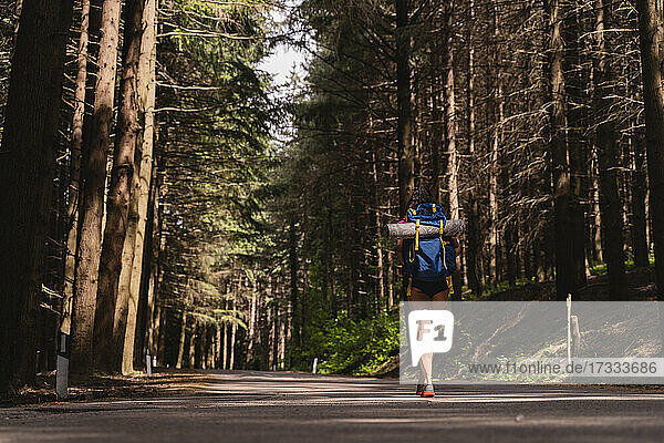 Weiblicher Rucksacktourist wandert Straße im Wald