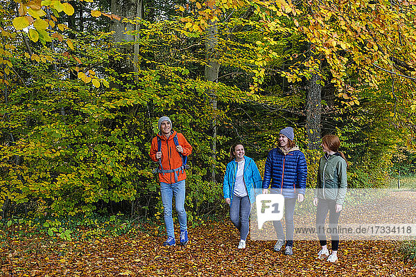 Glückliche junge Männer und Frauen  die im Herbst im Wald spazieren gehen